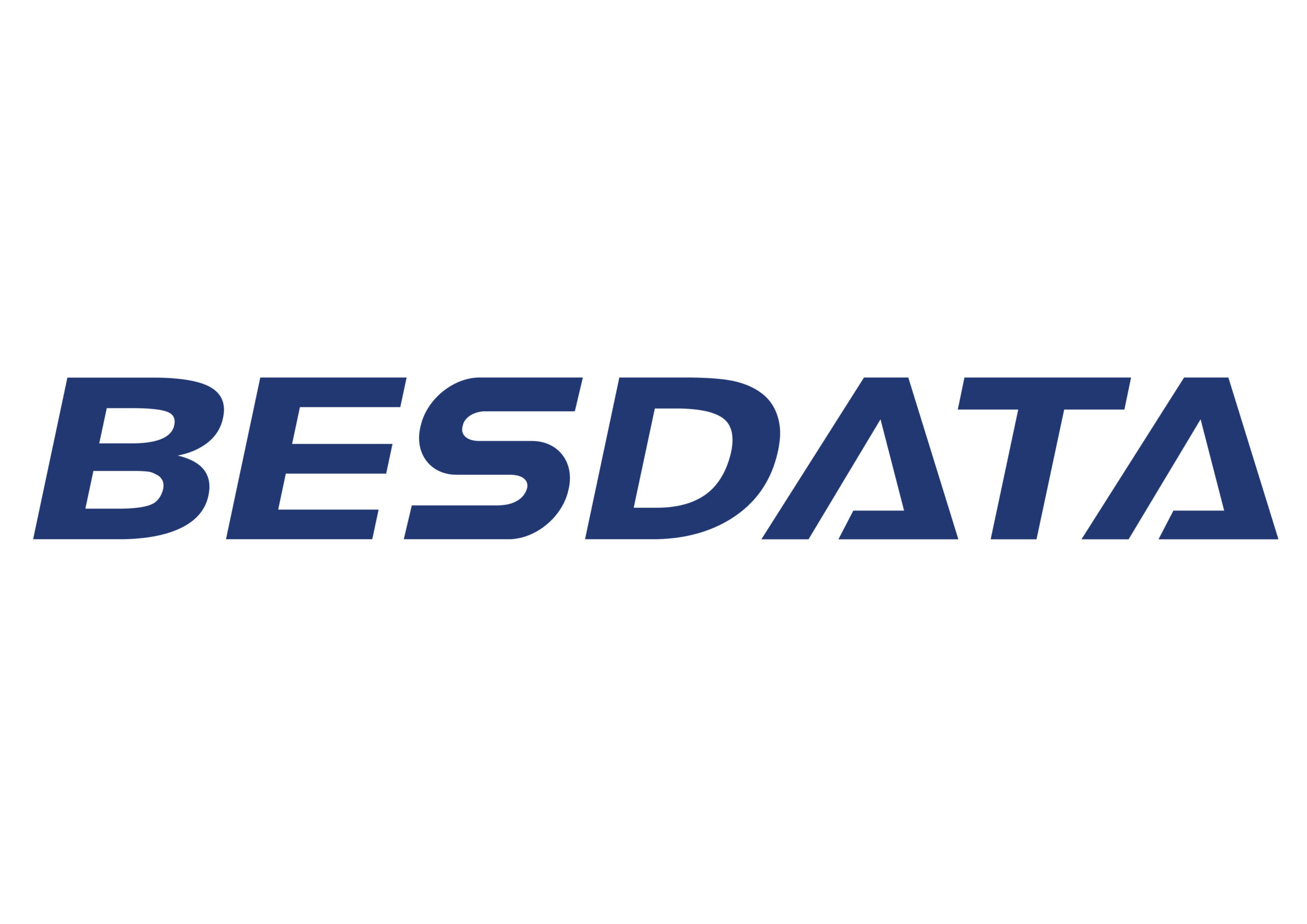 BESDATA